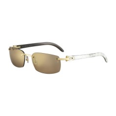 Cartier CT0046S 004