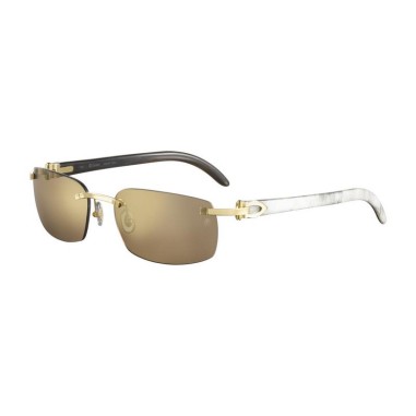 Cartier CT0046S 004