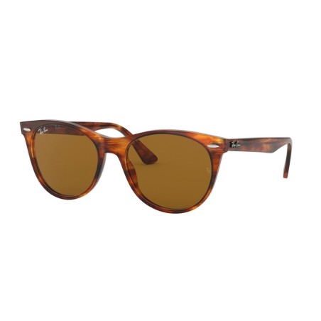 Ray-Ban WAYFARER II RB2185 954/33 Ray-Ban WAYFARER II RB2185 954/33