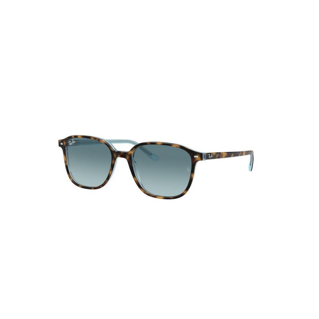Ray-Ban LEONARD RB2193 13163M
