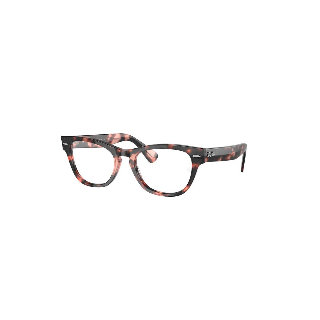 Ray-Ban LARAMIE RX2201V 8118