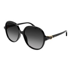 Cartier CT0350S 001