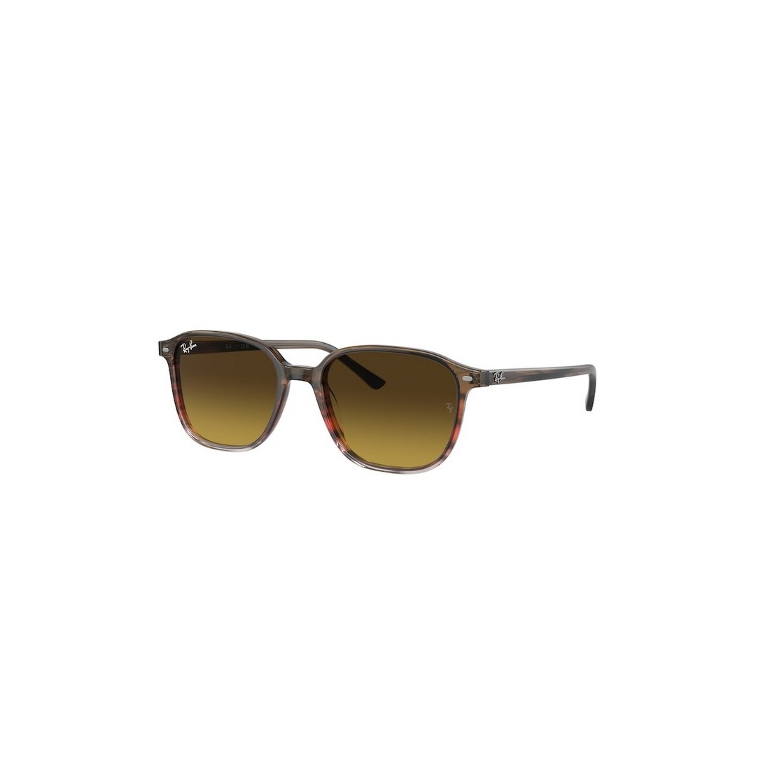 Ray-Ban LEONARD RB2193 138085