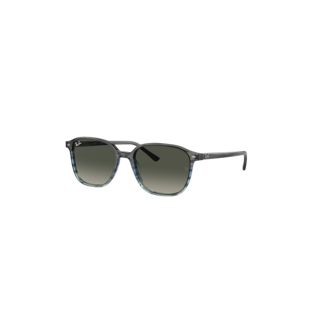 Ray-Ban LEONARD RB2193 138171