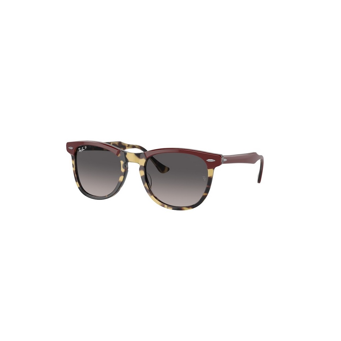 Ray-Ban EAGLEEYE RB2398 1377M3