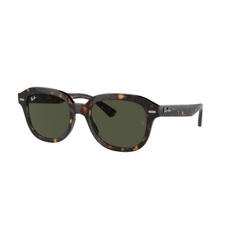 Ray-Ban ERIK RB4398 902/31 Ray-Ban ERIK RB4398 902/31