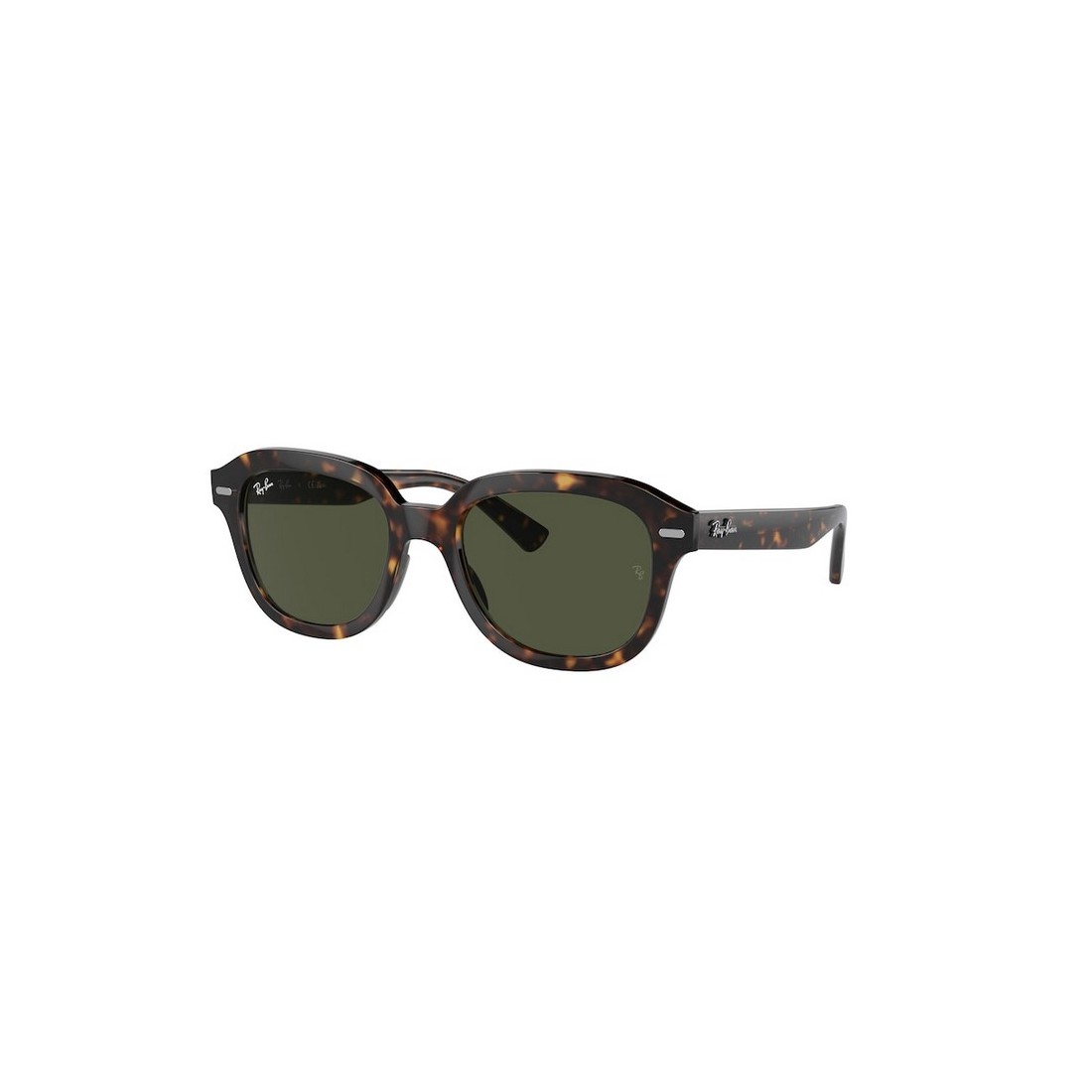 Ray-Ban ERIK RB4398 902/31