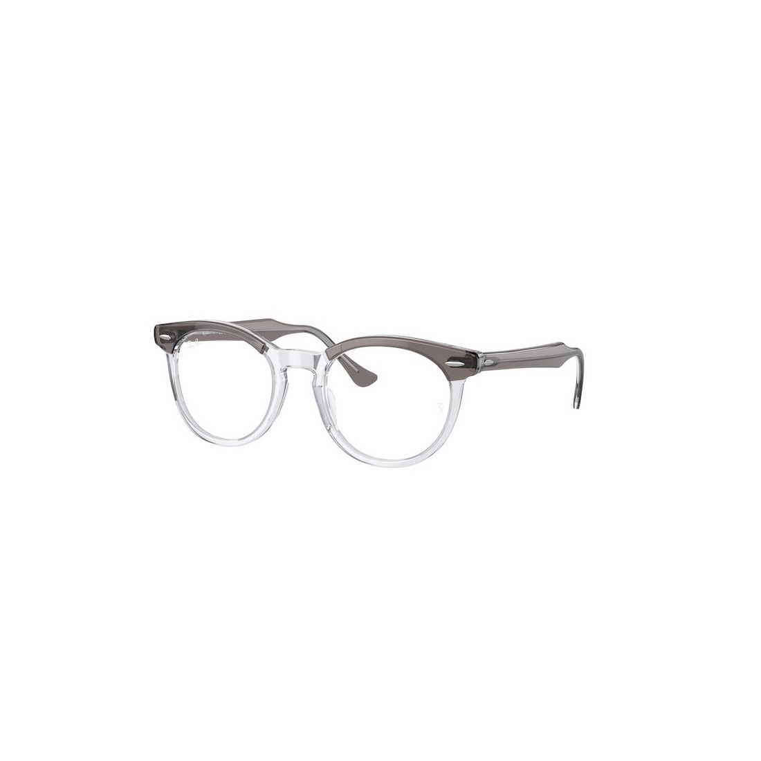 Ray-Ban EAGLEEYE RX5598 8111