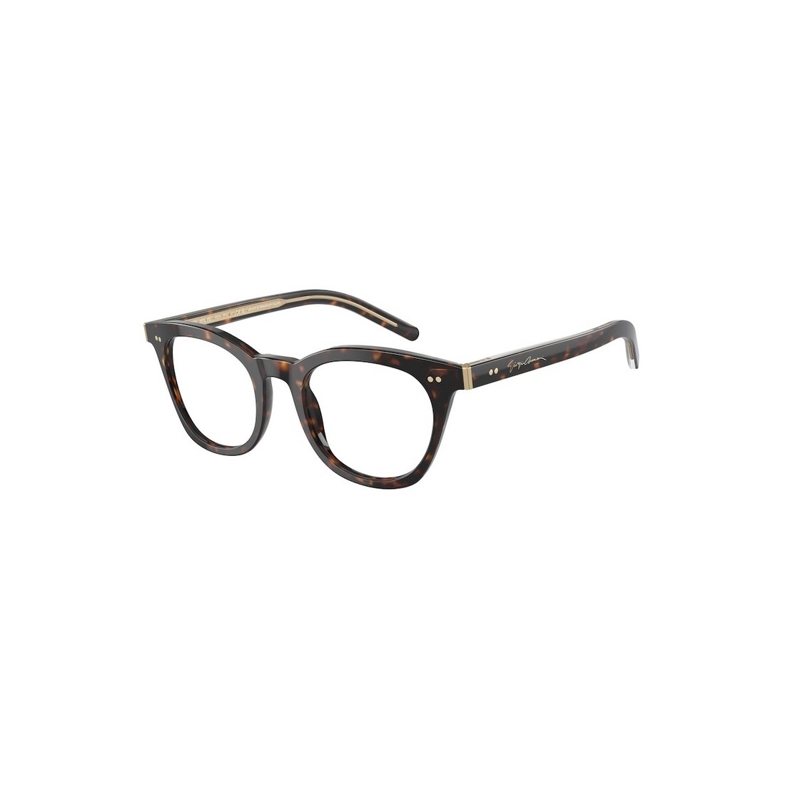 Giorgio Armani AR7251 5879