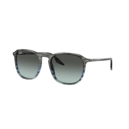 Ray-Ban RB2203 1391GK Ray-Ban RB2203 1391GK