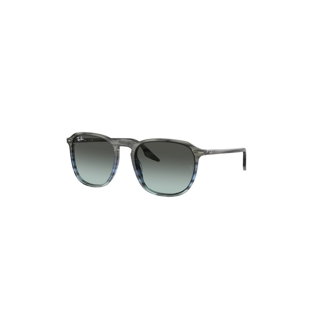 Ray-Ban RB2203 1391GK