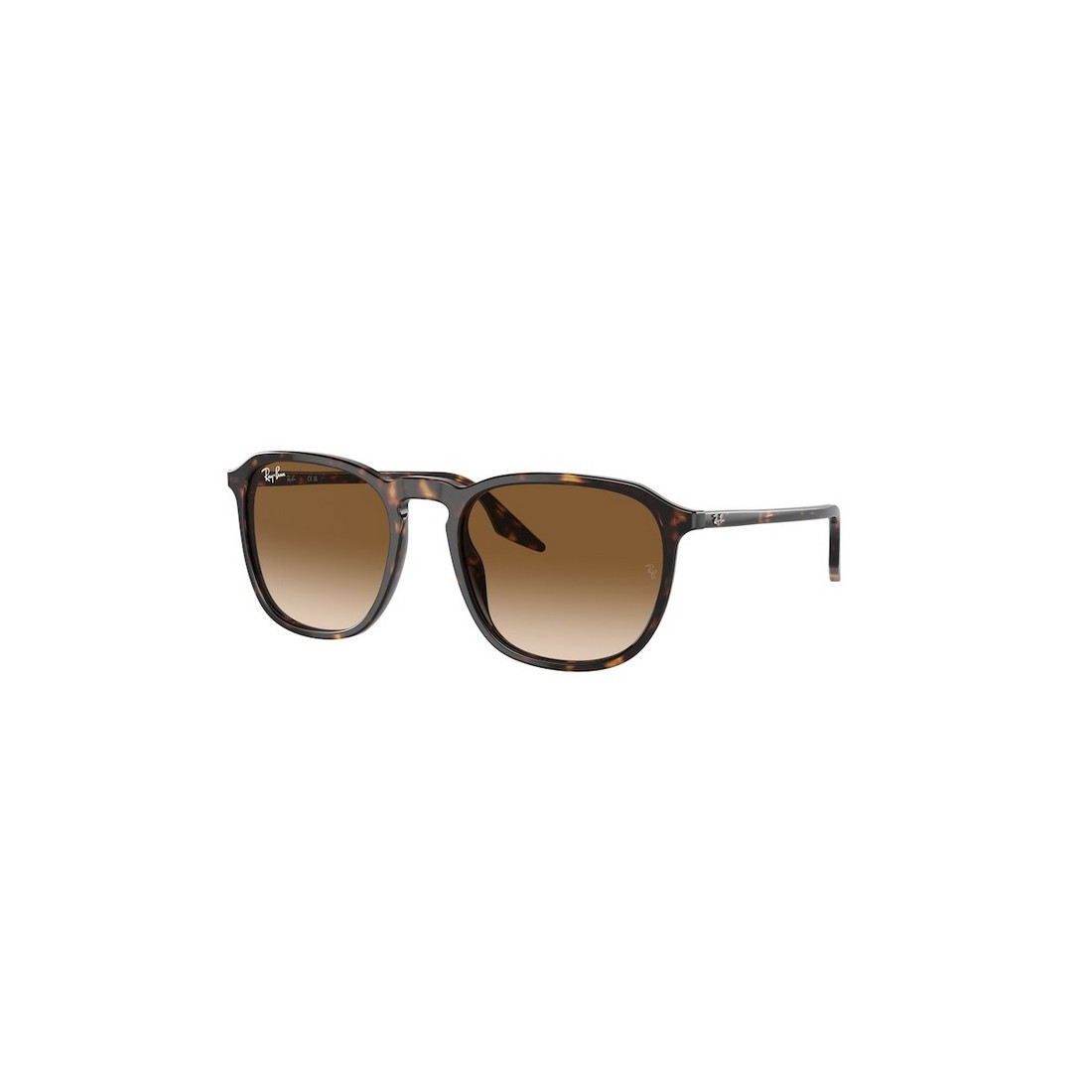 Ray-Ban RB2203 902/51