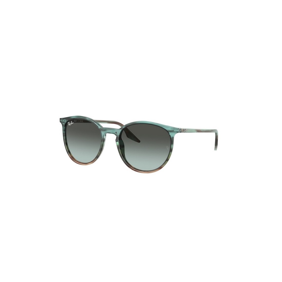 Ray-Ban RB2204 1394GK