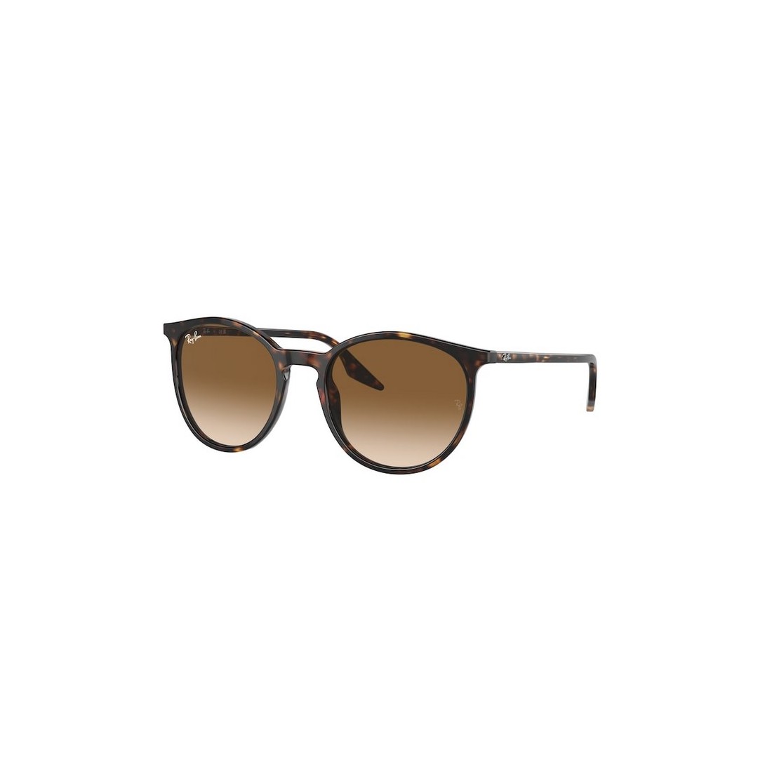 Ray-Ban RB2204 902/51