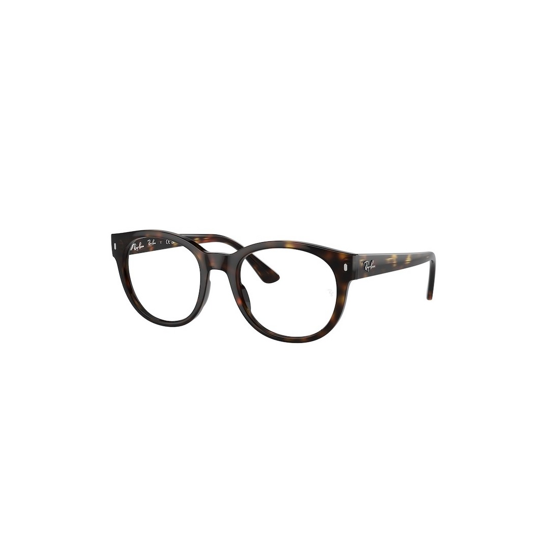 Ray-Ban RX7227 2012