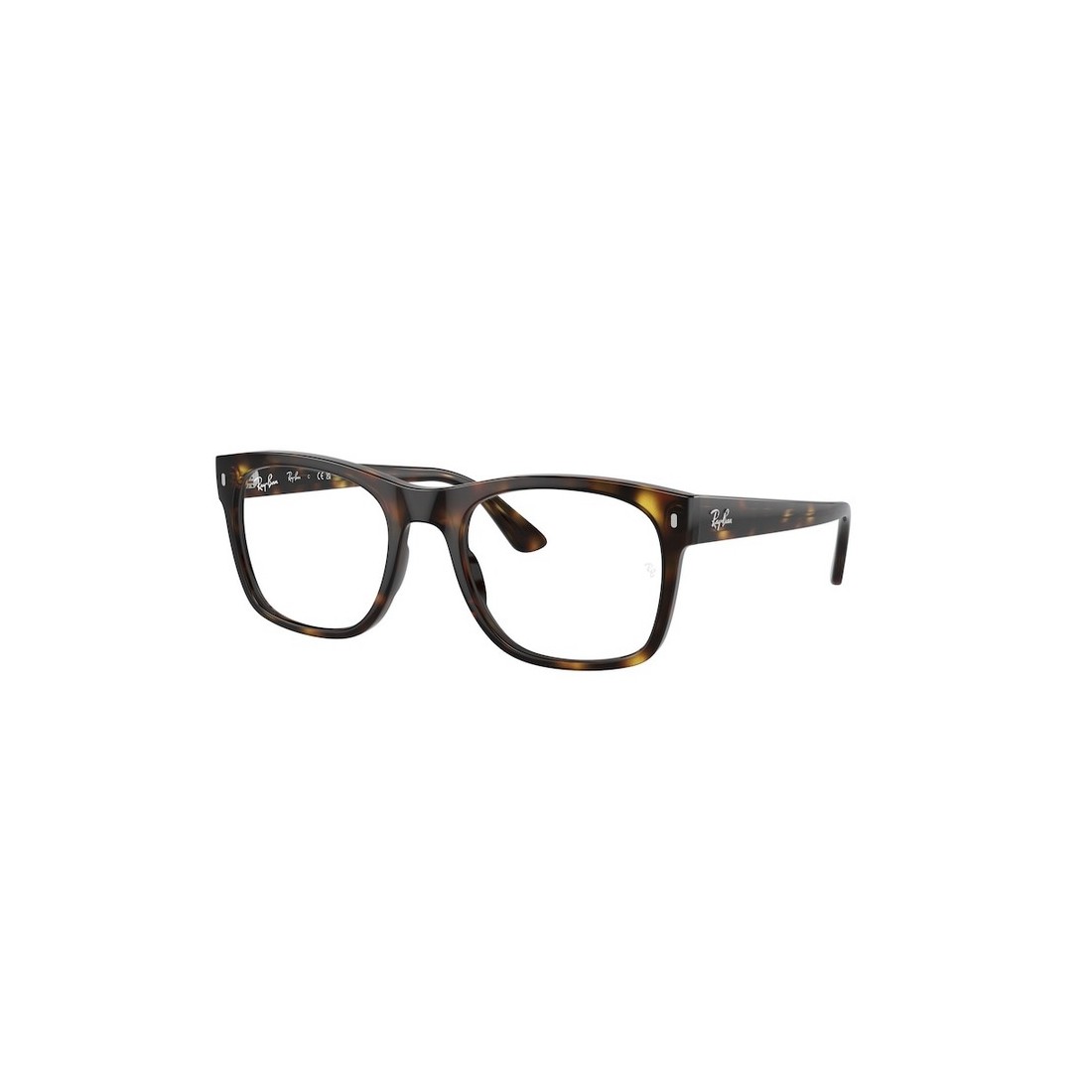 Ray-Ban RX7228 2012