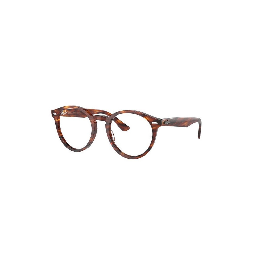 Ray-Ban LARRY RX7680V 2144