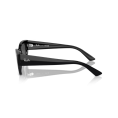 Ray-Ban RB4430 667787