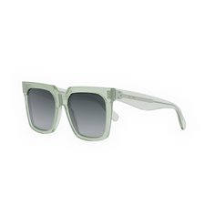 Celine CL4055IN 93B