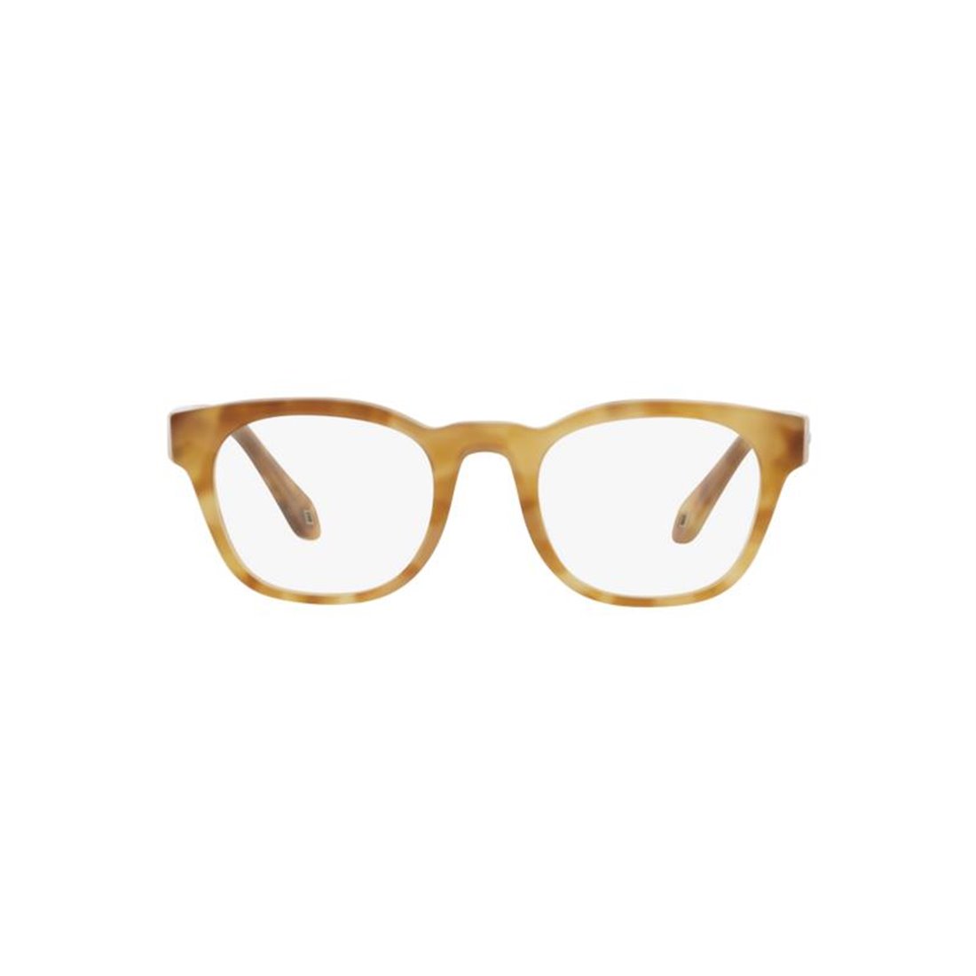 Giorgio Armani AR7242 5979