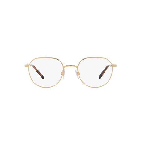 Dolce & Gabbana DG1349 02