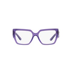 Dolce & Gabbana DG3373 3407 2