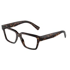 Dolce & Gabbana DG3383 502