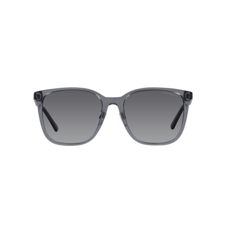 Emporio Armani EA4206D 5029T3 Emporio Armani EA4206D 5029T3