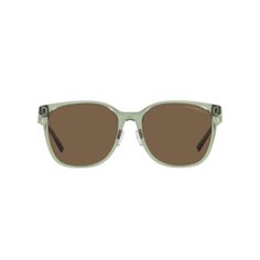 Emporio Armani EA4206D 536273 2