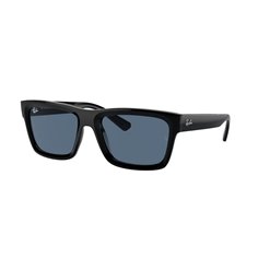 Ray-Ban WARREN RB4396 667780