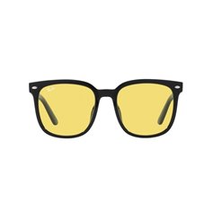 Ray-Ban RB4401D 601/85 2