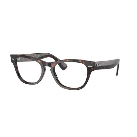 Ray-Ban LARAMIE RX2201V 2012 Ray-Ban LARAMIE RX2201V 2012