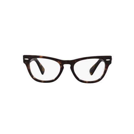Ray-Ban LARAMIE RX2201V 2012 Ray-Ban LARAMIE RX2201V 2012
