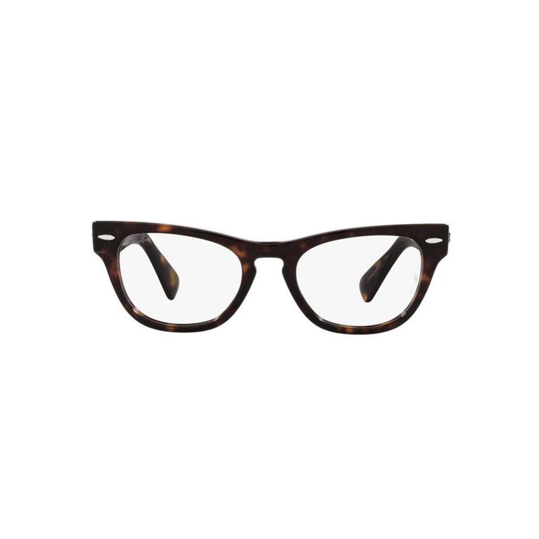 Ray-Ban LARAMIE RX2201V 2012