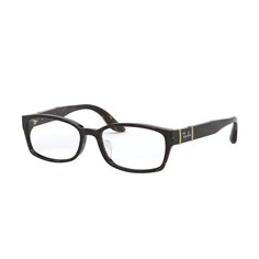 Ray-Ban RX5198 2345