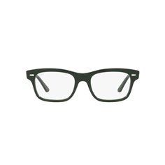 Ray-Ban MR BURBANK RX5383 8226 2