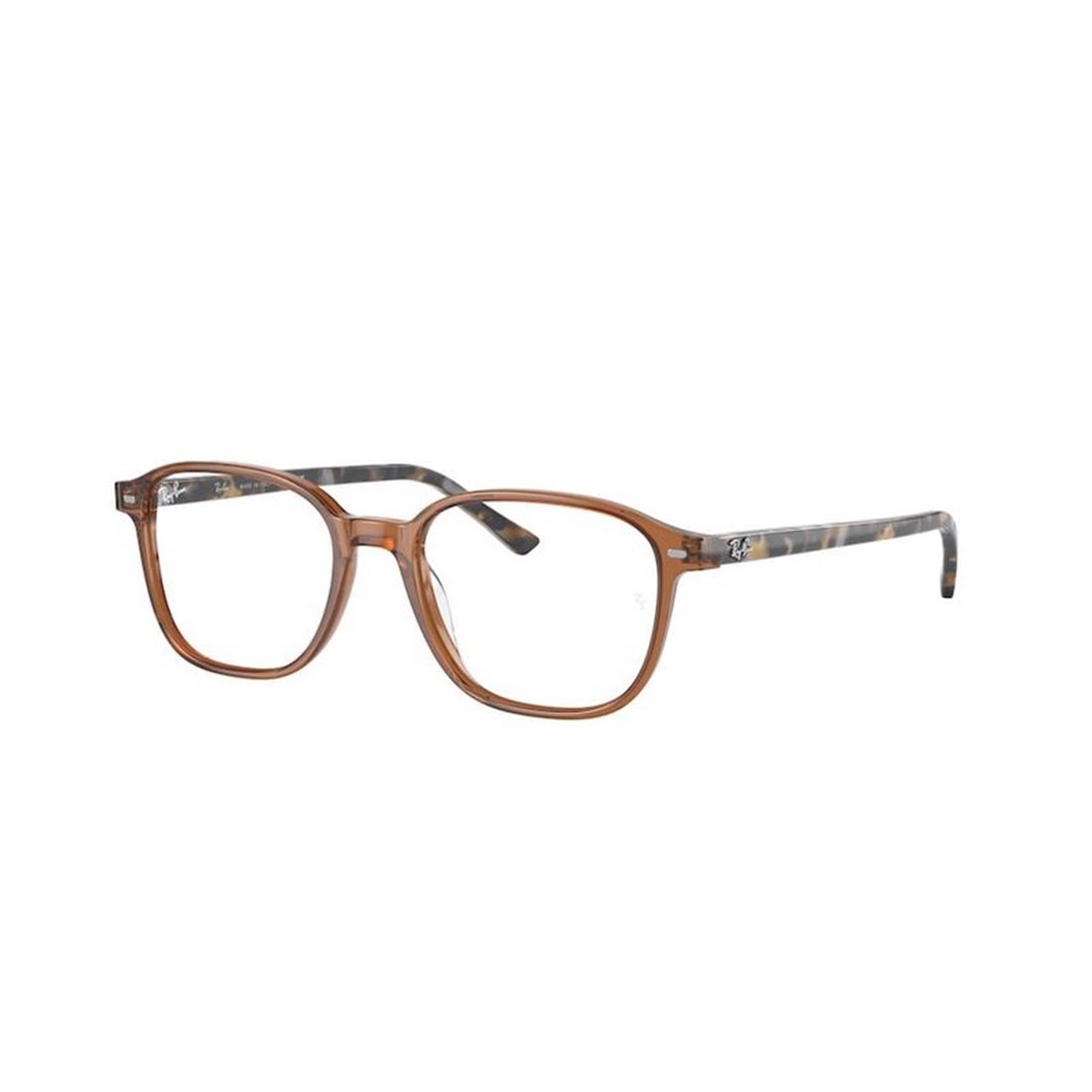 Ray-Ban LEONARD RX5393 8227