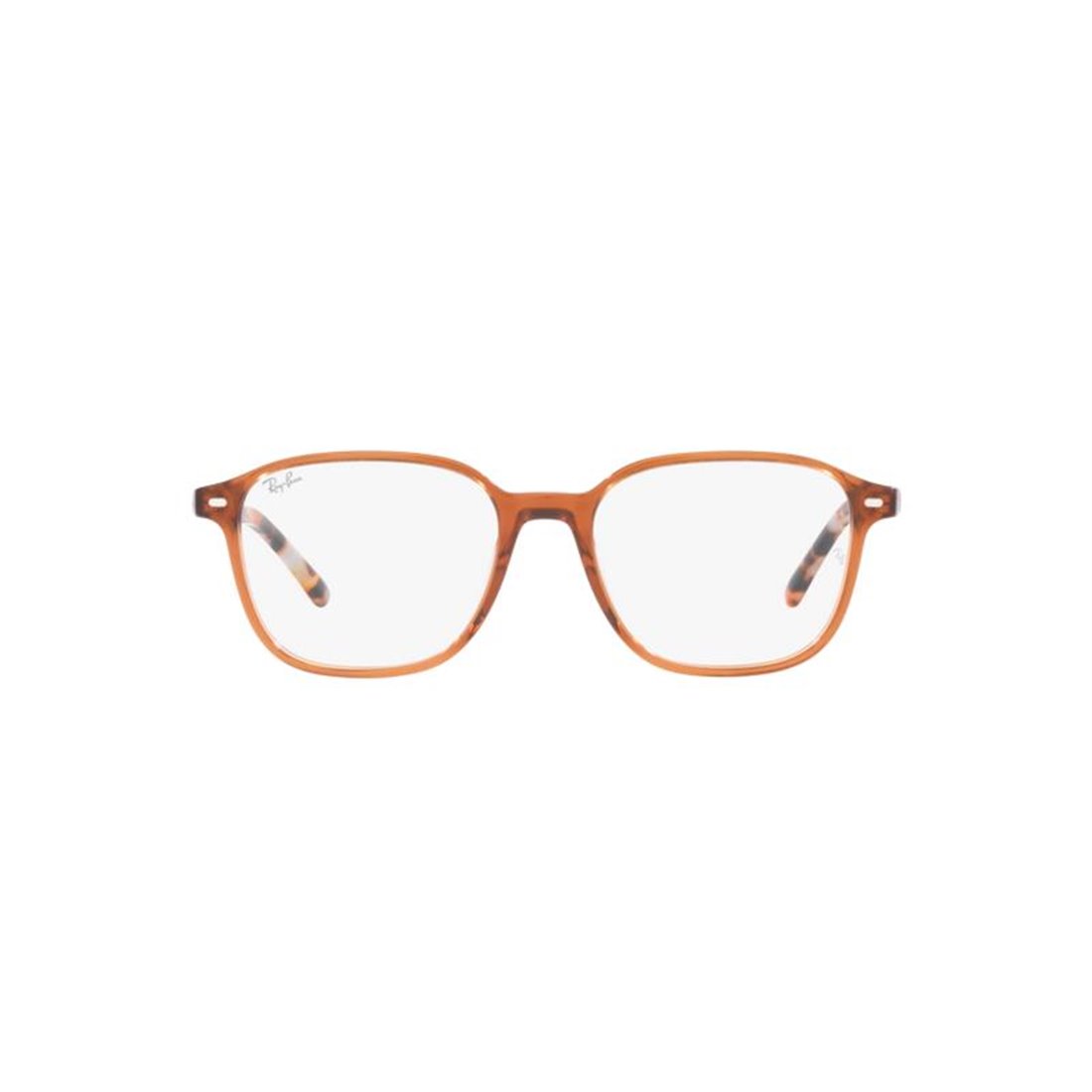 Ray-Ban LEONARD RX5393 8227