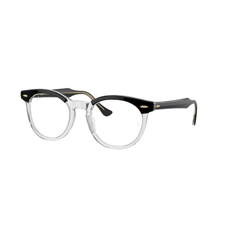 Ray-Ban EAGLEEYE RX5598 2034 Ray-Ban EAGLEEYE RX5598 2034
