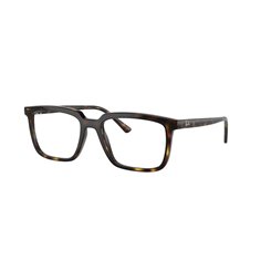 Ray-Ban ALAIN RX7239 2012