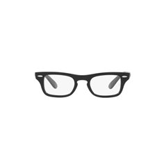 Ray-Ban Junior BURBANK RY9083V 3542 2