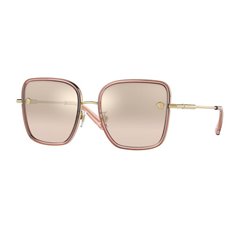 Versace VE2247D 14837I