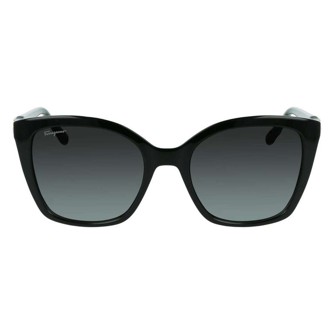 Salvatore Ferragamo SF1026S 001