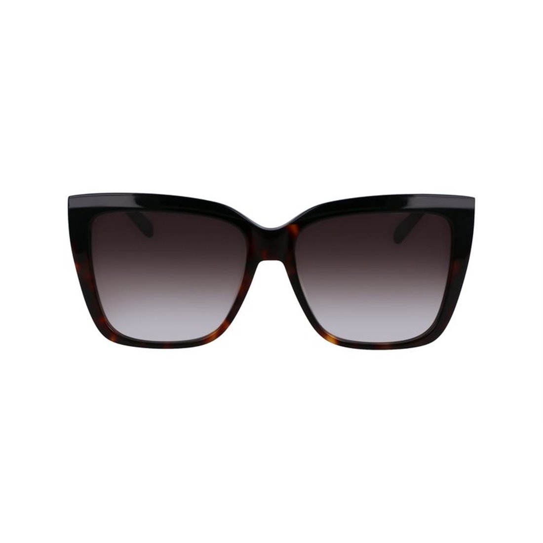 Salvatore Ferragamo SF1102S 006