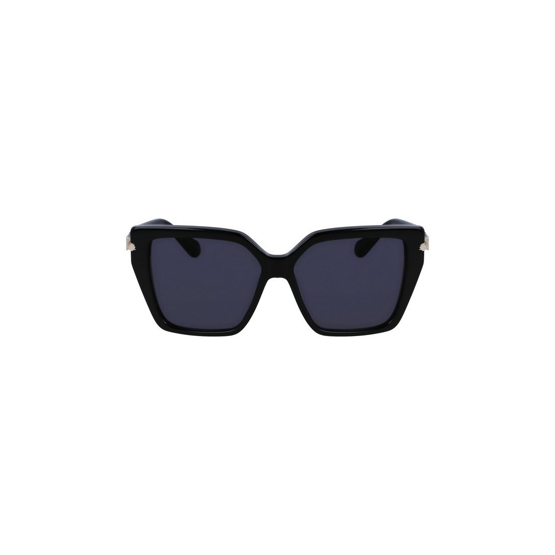 Salvatore Ferragamo SF1106S 001