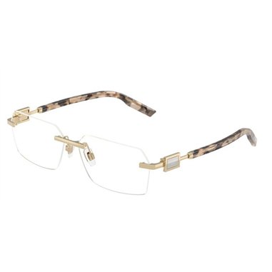 Dolce & Gabbana DG1361 488