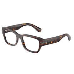 Dolce & Gabbana DG3408 502