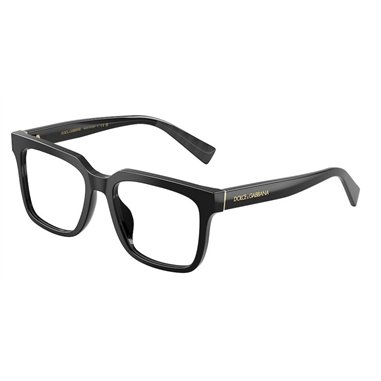 Dolce & Gabbana DG3422 501