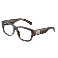 Dolce & Gabbana DG3423 502