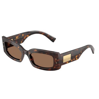 Dolce & Gabbana DG4479 502/73